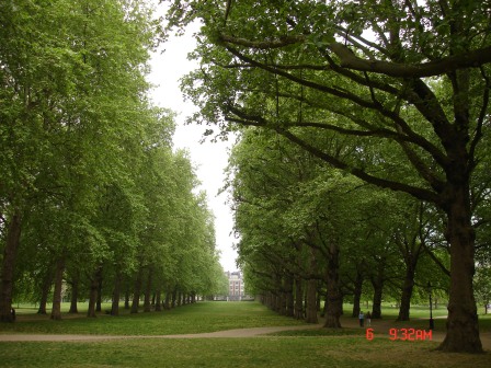 1323959332-585031916 London-白金漢宮/聖詹姆士公園/西敏寺/國會大廈/大笨鐘