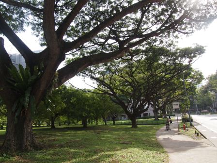 1329234862-740413219 Singapore-Orchard Road烏節路好好逛