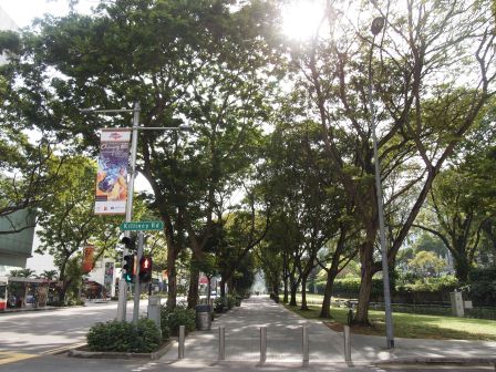 1329234866-2278567432 Singapore-Orchard Road烏節路好好逛