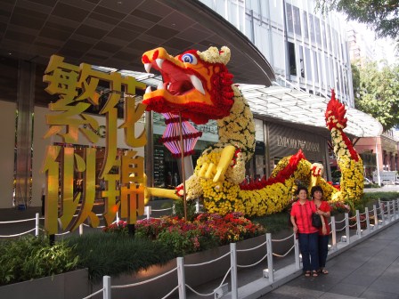 1329234881-3521227694 Singapore-Orchard Road烏節路好好逛