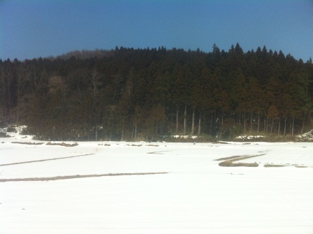 1330330703-4046341504 Tsuruoka-往鶴岡的路上 雪景美不勝收