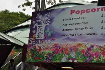 1332639377-3708113127 Singapore-漫遊聖淘沙