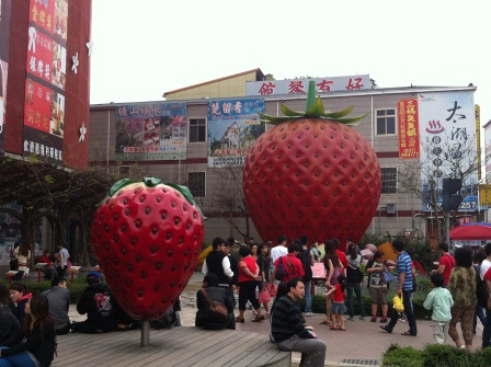 1332932281-3688364155 大湖-草莓文化館與採草莓