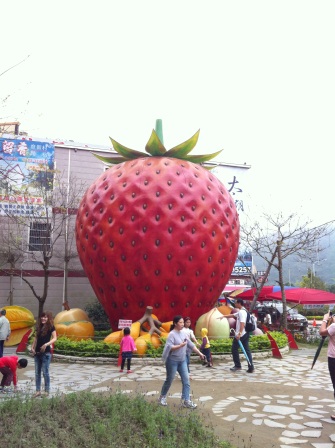 1332932283-2373198085 大湖-草莓文化館與採草莓