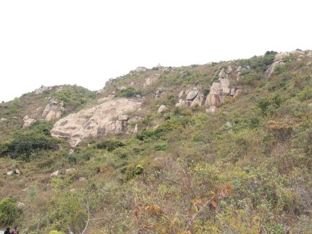 1333722485-934267557 HK-南Y島之硬是要行山