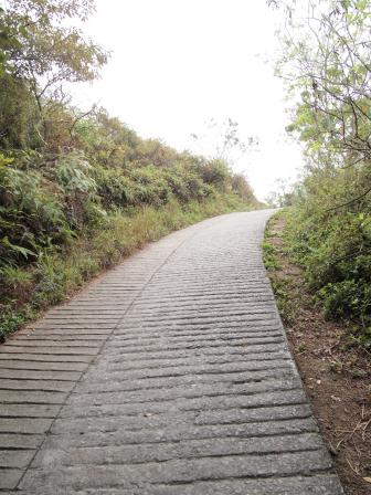 1333722486-3572459889 HK-南Y島之硬是要行山