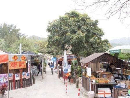 1333722487-1192588010 HK-南Y島之硬是要行山