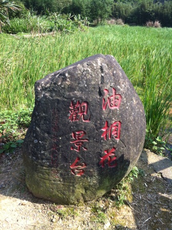 1336794502-907265842 龍潭-小粗坑賞油桐花
