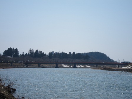 1337437375-690151299 Kakunodate-檜木內川堤 櫻花"樹"步道(2012東北秘湯追櫻之旅Day2-2)