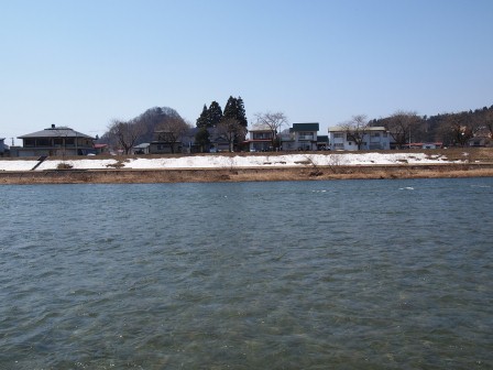 1337437376-2102295482 Kakunodate-檜木內川堤 櫻花"樹"步道(2012東北秘湯追櫻之旅Day2-2)
