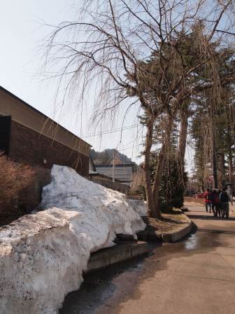 1338091177-569929578 Kakunodate-小京都角館 武家屋敷散步中(2012東北秘湯追櫻之旅Day2-1)