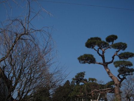 1338091180-109707255 Kakunodate-小京都角館 武家屋敷散步中(2012東北秘湯追櫻之旅Day2-1)