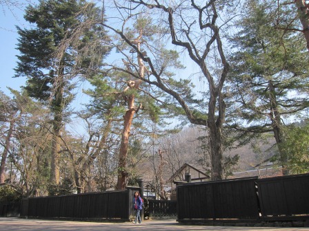 1338091186-4069349001 Kakunodate-小京都角館 武家屋敷散步中(2012東北秘湯追櫻之旅Day2-1)