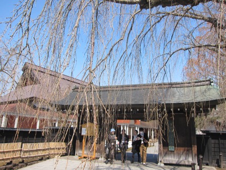 1338091190-2378159488 Kakunodate-小京都角館 武家屋敷散步中(2012東北秘湯追櫻之旅Day2-1)