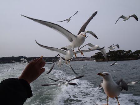 1338693493-2777467767 Matsushima-搭船遊松島 好一個日本三景啊(2012東北秘湯追櫻之旅Day3-4)
