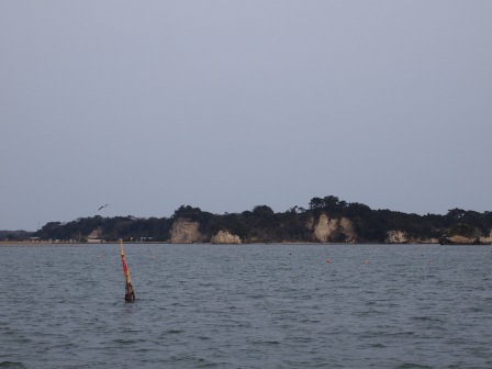 1338693495-1947936567 Matsushima-搭船遊松島 好一個日本三景啊(2012東北秘湯追櫻之旅Day3-4)