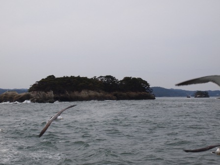 1338693496-174164448 Matsushima-搭船遊松島 好一個日本三景啊(2012東北秘湯追櫻之旅Day3-4)