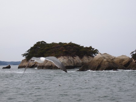 1338693496-3435567472 Matsushima-搭船遊松島 好一個日本三景啊(2012東北秘湯追櫻之旅Day3-4)