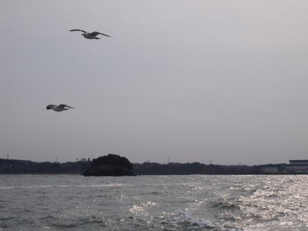1338693496-4086976980 Matsushima-搭船遊松島 好一個日本三景啊(2012東北秘湯追櫻之旅Day3-4)