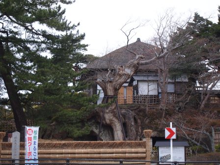 1339039173-1401831051 Matsushima-日本三景之松島散步紀錄 瑞嚴寺/五大堂(2012東北秘湯追櫻之旅Day3-3)