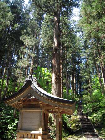 1339230612-3284616311 Tsuruoka-米其林三星景點 2446階的試煉/出羽三山神社的修行/國寶五重塔