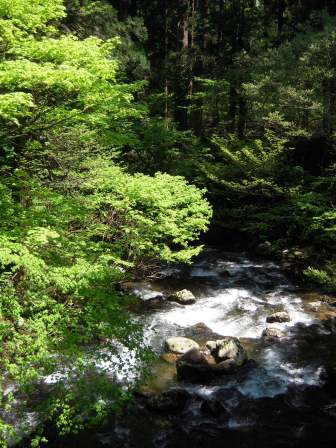 1339230676-3935961834 Tsuruoka-米其林三星景點 2446階的試煉/出羽三山神社的修行/國寶五重塔