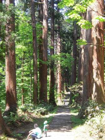 1339231622-272049994 Tsuruoka-米其林三星景點 2446階的試煉/出羽三山神社的修行/國寶五重塔