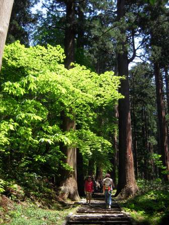 1339231727-1883915970 Tsuruoka-米其林三星景點 2446階的試煉/出羽三山神社的修行/國寶五重塔