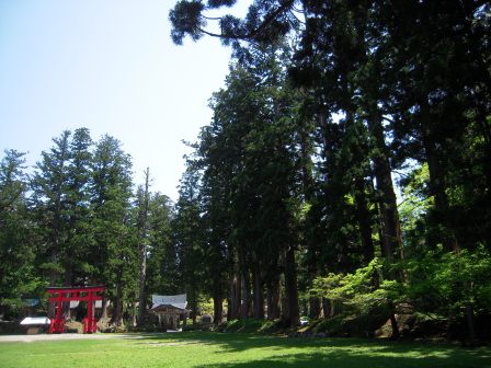 1339231836-1829699309 Tsuruoka-米其林三星景點 2446階的試煉/出羽三山神社的修行/國寶五重塔
