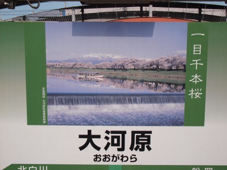 1340282602-3715759973 Ogawara-一目千本櫻 白石川堤賞花苞....殘念(2012東北秘湯追櫻之旅Day4-1)