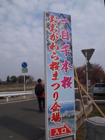1340282603-1785195548 Ogawara-一目千本櫻 白石川堤賞花苞....殘念(2012東北秘湯追櫻之旅Day4-1)