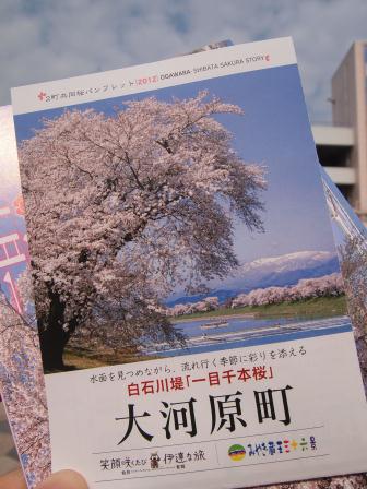 1340282603-2555057057 Ogawara-一目千本櫻 白石川堤賞花苞....殘念(2012東北秘湯追櫻之旅Day4-1)
