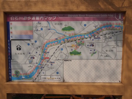1340282604-2394992343 Ogawara-一目千本櫻 白石川堤賞花苞....殘念(2012東北秘湯追櫻之旅Day4-1)