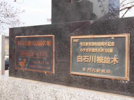 1340282604-2483440980 Ogawara-一目千本櫻 白石川堤賞花苞....殘念(2012東北秘湯追櫻之旅Day4-1)