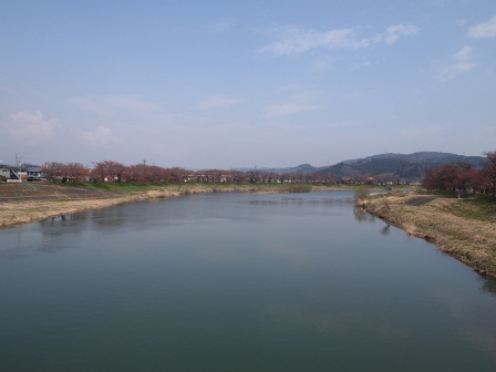 1340282608-2277645746 Ogawara-一目千本櫻 白石川堤賞花苞....殘念(2012東北秘湯追櫻之旅Day4-1)