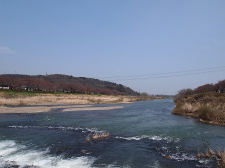 1340282610-2440981600 Ogawara-一目千本櫻 白石川堤賞花苞....殘念(2012東北秘湯追櫻之旅Day4-1)
