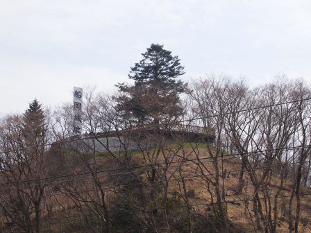 1340282612-3580319937 Ogawara-一目千本櫻 白石川堤賞花苞....殘念(2012東北秘湯追櫻之旅Day4-1)