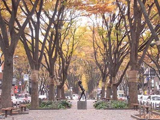 1340426261-2370843865 Sendai-定禪寺通 短暫卻讓人屏息的美景(2012東北秘湯追櫻之旅Day4-3)