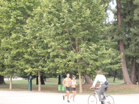 1343440865-1629178165 Milano-Castello Sforzesco斯福爾扎古堡(2012旋風歐洲五國之六)