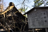 1345863029-2540018176 2012東北秘湯追櫻之旅