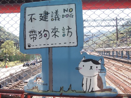 1351324611-1659034001 瑞芳-侯硐 貓貓貓貓貓  這裡有的是貓