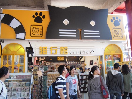 1351324611-3356268329 瑞芳-侯硐 貓貓貓貓貓  這裡有的是貓