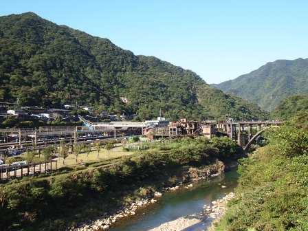 1351324621-3821258576 瑞芳-侯硐 貓貓貓貓貓  這裡有的是貓