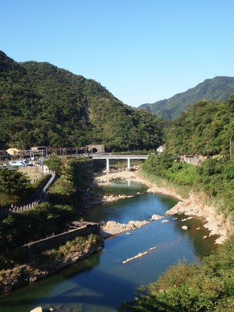 1351324622-1458185021 瑞芳-侯硐 貓貓貓貓貓  這裡有的是貓