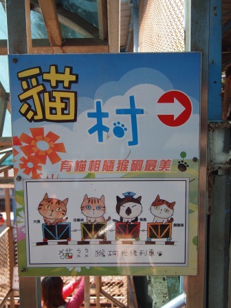 1351324624-43612001 瑞芳-侯硐 貓貓貓貓貓  這裡有的是貓
