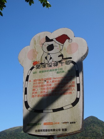 1351324626-2573671182 瑞芳-侯硐 貓貓貓貓貓  這裡有的是貓