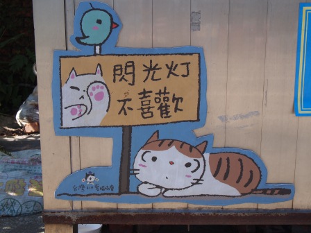 1351324627-747420173 瑞芳-侯硐 貓貓貓貓貓  這裡有的是貓