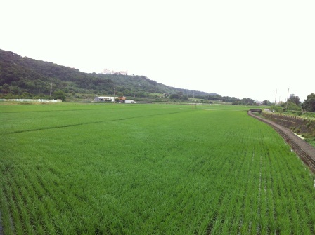 1351596593-2051130949 竹北-鳳崎步道之海闊天空