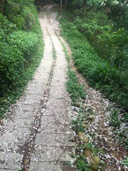 1351596596-2706098467 竹北-鳳崎步道之海闊天空