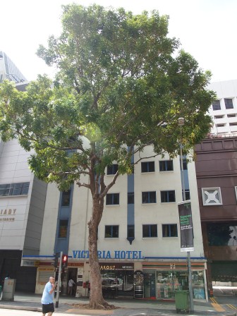 1352473424-568413830 Singapore-超方便之平價酒店Victoria Hotel